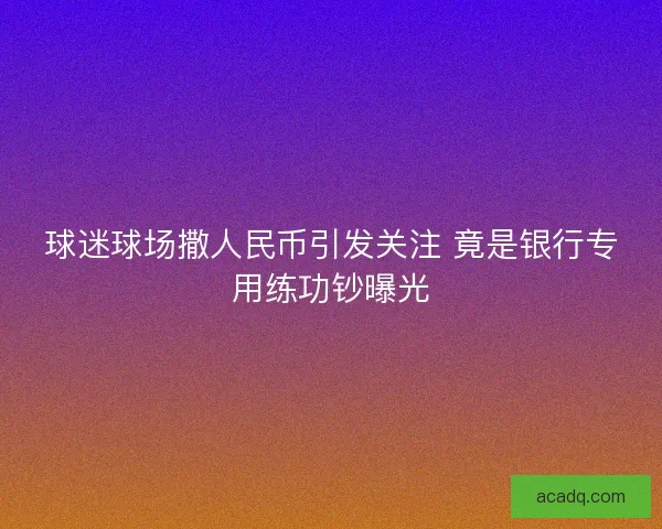球迷球场撒人民币引发关注 竟是银行专用练功钞曝光